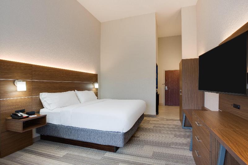 스탠다드 룸 킹사이즈 침대, Holiday Inn Express Hotel & Suites Tampa Fairgrounds Casino, An Ihg