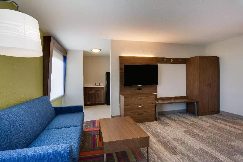 سوئیت با تخت بزرگ, Holiday Inn Express Hotel & Suites Tampa Fairgrounds Casino, An Ihg