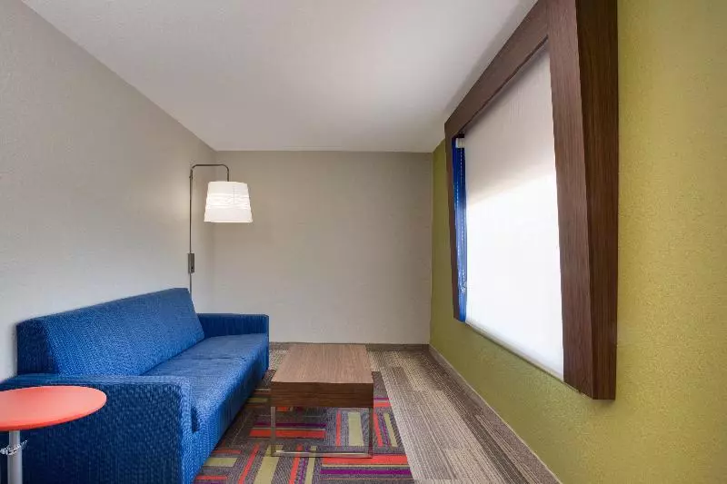 سوئیت با تخت بزرگ, Holiday Inn Express Hotel & Suites Tampa Fairgrounds Casino, An Ihg