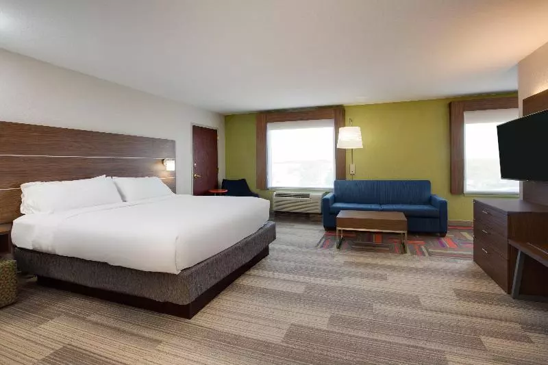 اتاق استاندارد با تخت بزرگ, Holiday Inn Express Hotel & Suites Tampa Fairgrounds Casino, An Ihg