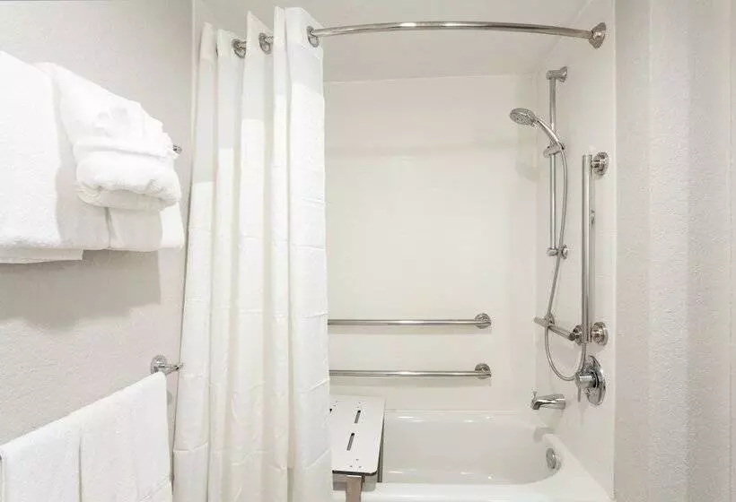 اتاق استاندارد, Holiday Inn Express Hotel & Suites Fort Lauderdale Airport/cruise Port, An Ihg