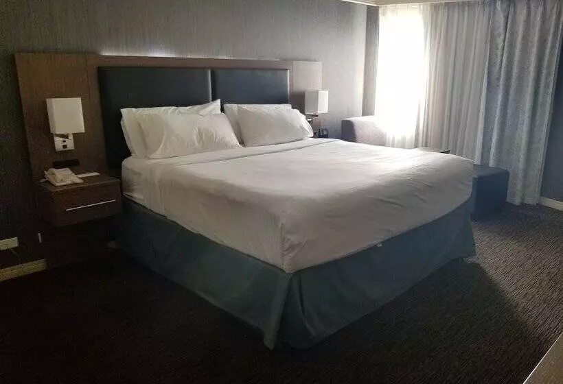 スタンダードルーム, Holiday Inn Express Edmonton Downtown, An Ihg