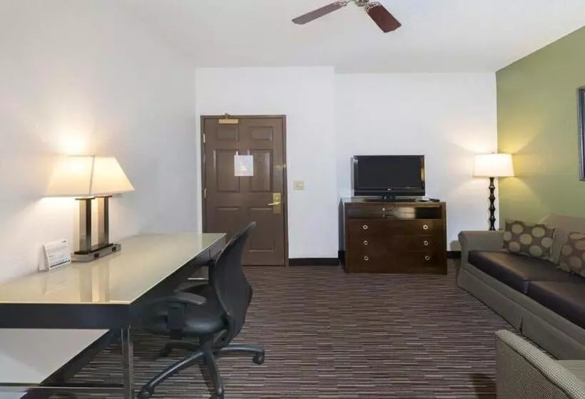 キングサイズベッドのスタンダードルーム, Holiday Inn Express & Suites Chicago Deerfield Lincolnshire, An Ihg