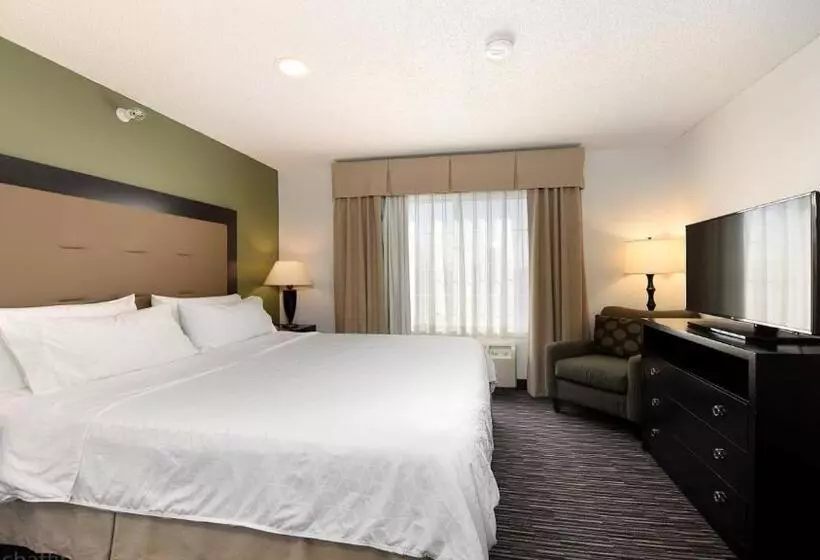 キングサイズベッドのスタンダードルーム, Holiday Inn Express & Suites Chicago Deerfield Lincolnshire, An Ihg
