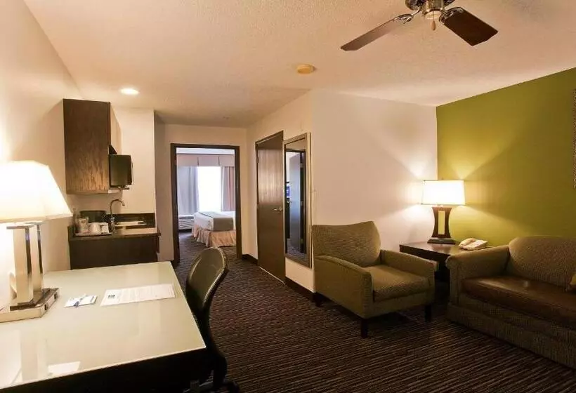 キングサイズベッドのスタンダードルーム, Holiday Inn Express & Suites Chicago Deerfield Lincolnshire, An Ihg