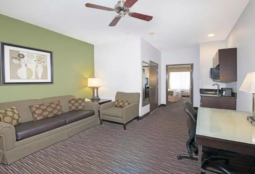 キングサイズベッドのスタンダードルーム, Holiday Inn Express & Suites Chicago Deerfield Lincolnshire, An Ihg