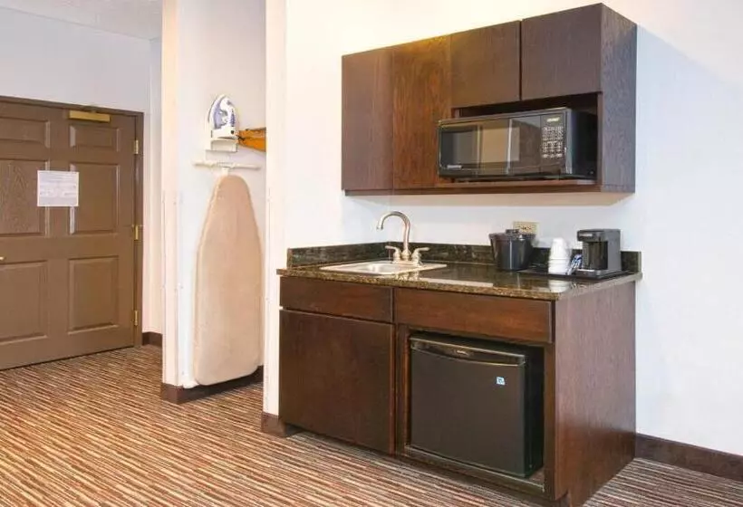 キングサイズベッドのスタンダードルーム, Holiday Inn Express & Suites Chicago Deerfield Lincolnshire, An Ihg