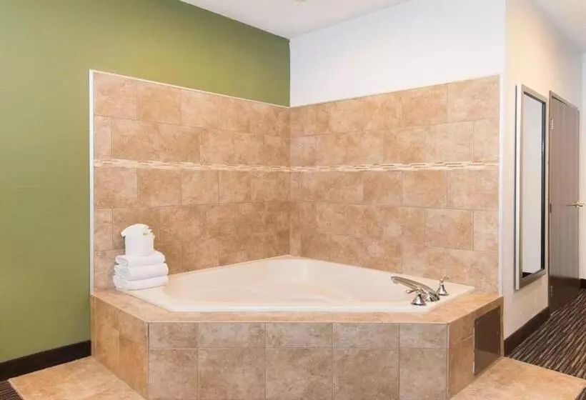 キングサイズベッドのスイートルーム, Holiday Inn Express & Suites Chicago Deerfield Lincolnshire, An Ihg