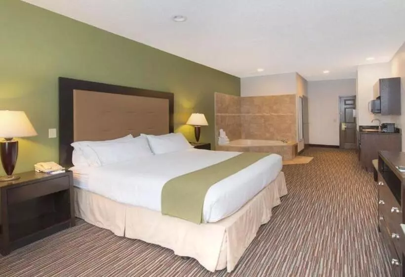 キングサイズベッドのスイートルーム, Holiday Inn Express & Suites Chicago Deerfield Lincolnshire, An Ihg