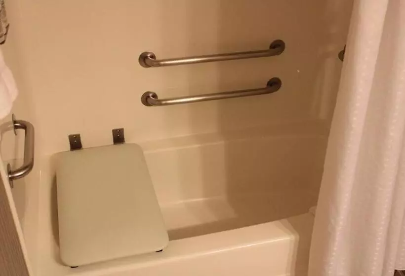身障者適用スイートルーム, Holiday Inn Express & Suites Chicago Deerfield Lincolnshire, An Ihg