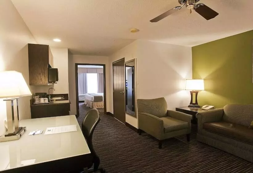 身障者適用スイートルーム, Holiday Inn Express & Suites Chicago Deerfield Lincolnshire, An Ihg