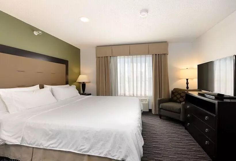 スタンダードルーム, Holiday Inn Express & Suites Chicago Deerfield Lincolnshire, An Ihg