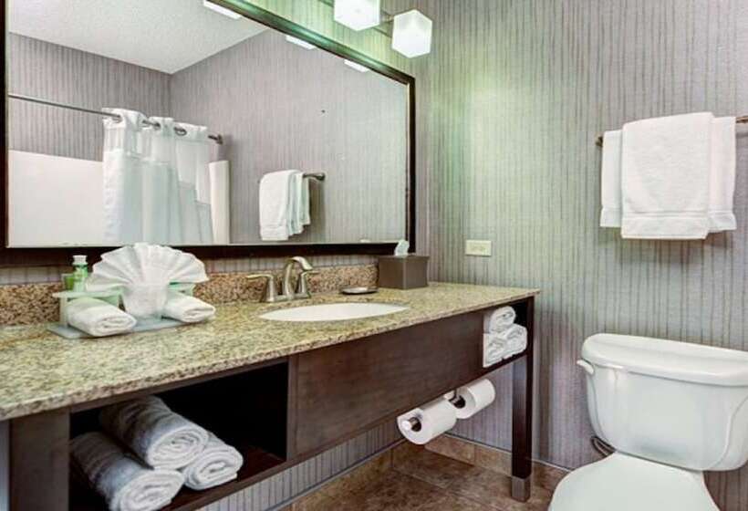 Люкс Адаптированный для Инвалидов, Holiday Inn Express & Suites Chicago Deerfield Lincolnshire, An Ihg