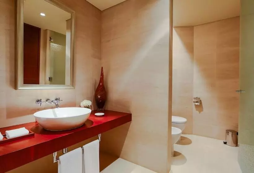 اتاق استاندارد, Park Hyatt Dubai