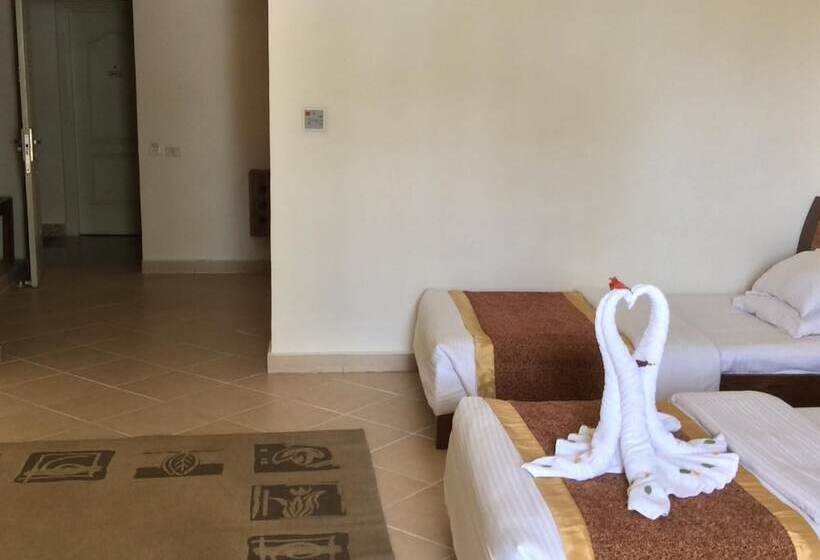 Номер Стандарт, Xperience St. George Sharm El Sheikh