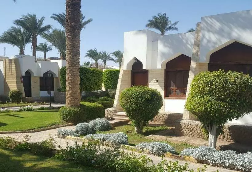 بانگلوی استاندارد, Regina Resort And Aqua Park Hurghada