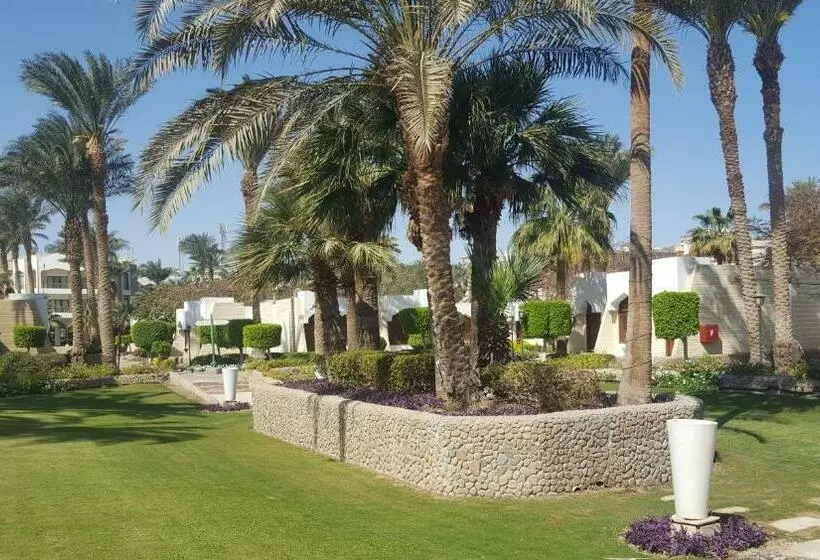 بانگلوی استاندارد, Regina Resort And Aqua Park Hurghada
