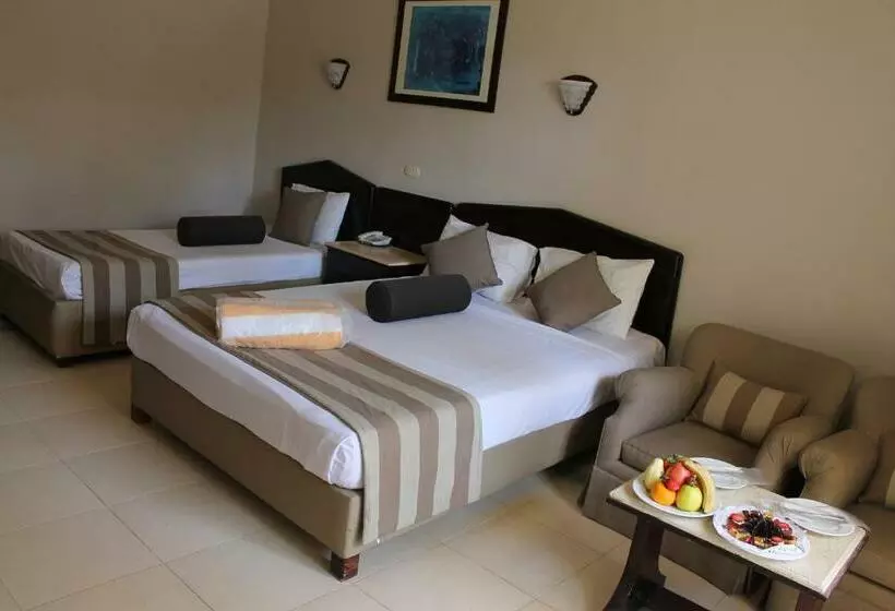اتاق سوپریور با چشم‌انداز استخر, Regina Resort And Aqua Park Hurghada