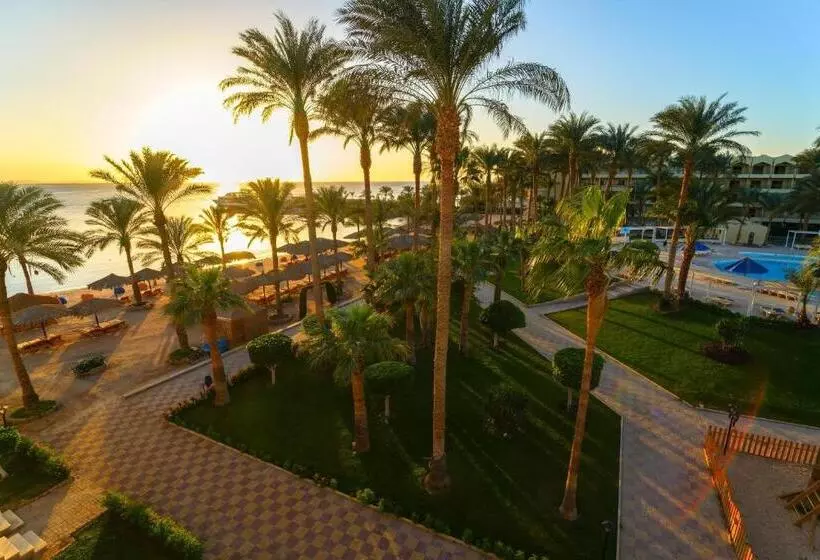 اتاق سوپریور با چشم‌انداز استخر, Regina Resort And Aqua Park Hurghada