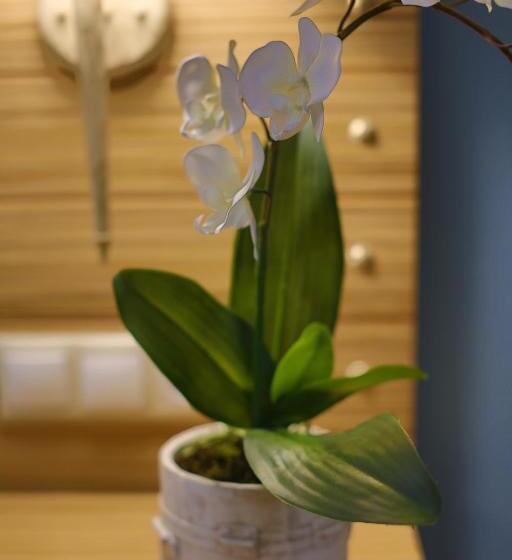 اتاق خانوادگی, Dolphin Bay Family Beach Resort