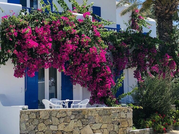 1ベッドルームアパートメント, Elena Studios & Suites