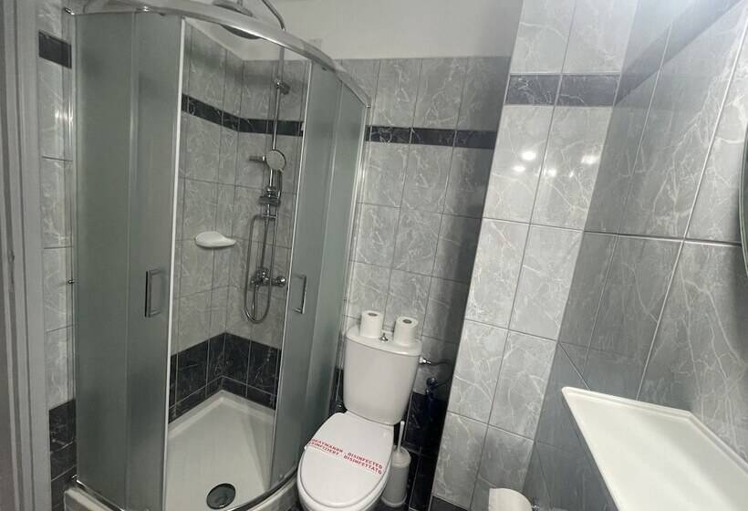 经济型三人房间, Albatros