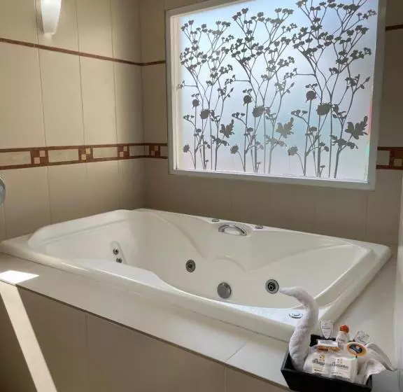 デラックススイート, Centro Hotel Villa Las Margaritas