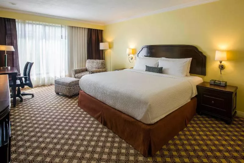 اتاق استاندارد با تخت بزرگ, Courtyard Toluca Airport