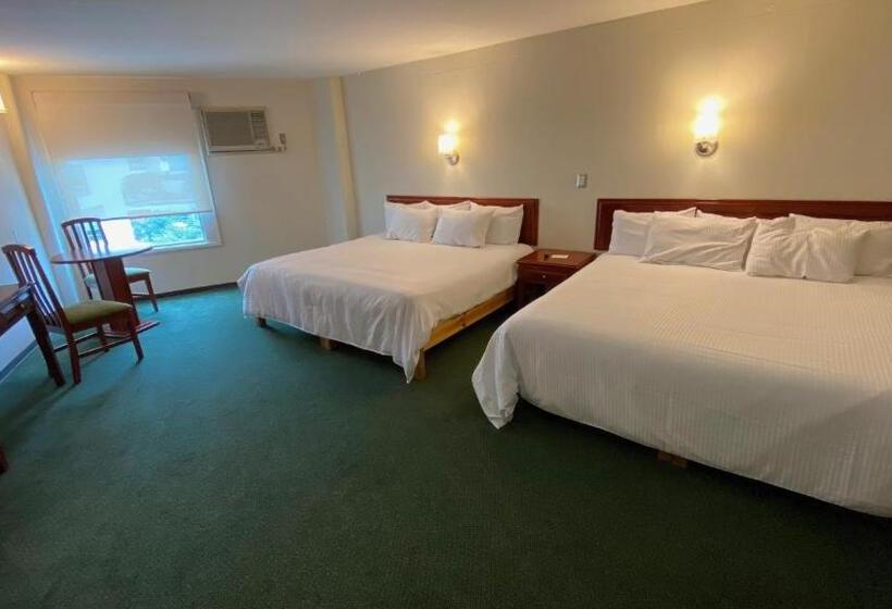 Family Suite, Enterprise Inn Poliforum