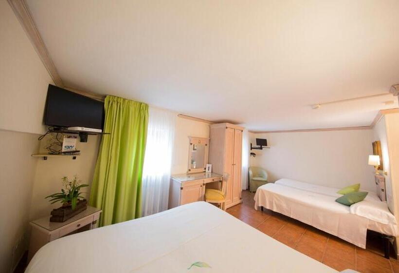 اتاق استاندارد چهار تخته, Mancini Park