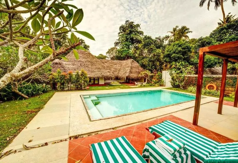Deluxe-villa 1 Makuuhuone, Marari Beach Resort Alleppey A Cgh Earth Experience