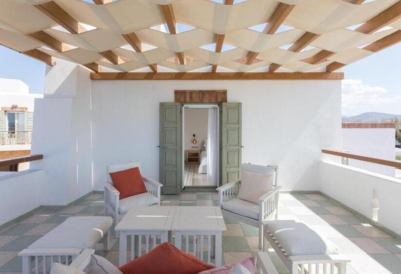 수피리어 룸 풀장 전망, Porto Naxos