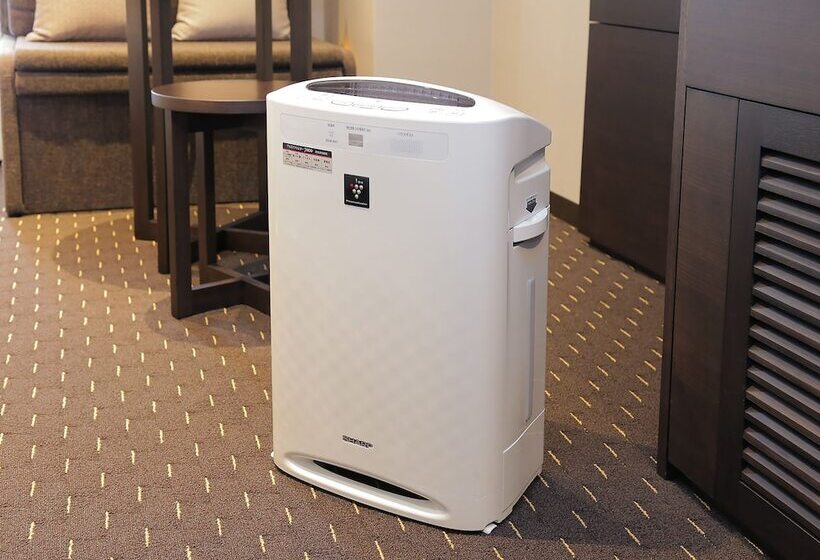 Номер Economy, Akihabara Washington