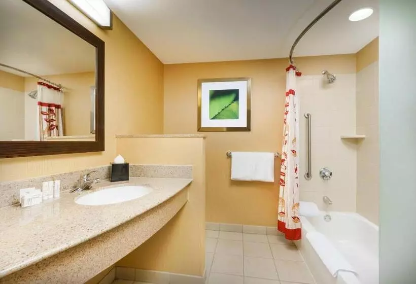 اتاق استاندارد با تخت بزرگ برای معلولان, Courtyard Boston South Boston