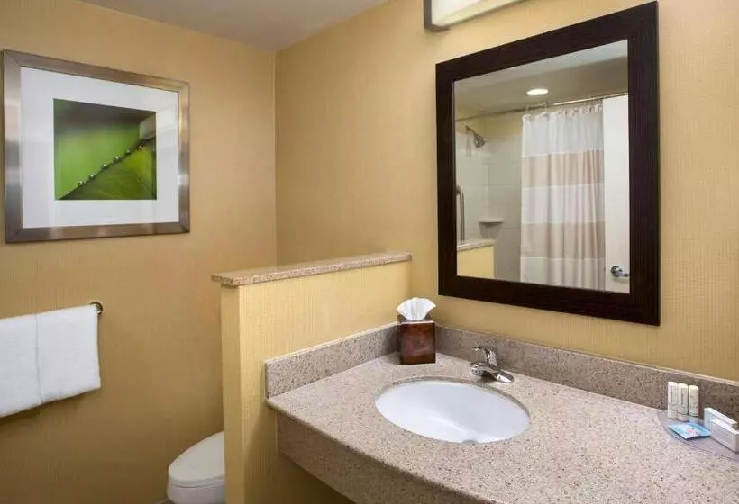 اتاق استاندارد با تخت بزرگ برای معلولان, Courtyard Boston South Boston