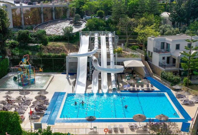 اتاق اکونومی, Duja Bodrum