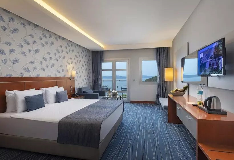 اتاق استاندارد, Duja Bodrum