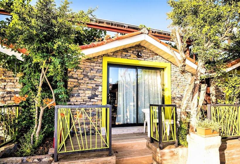 غرفة قياسية ثلاثية, Leda Beach