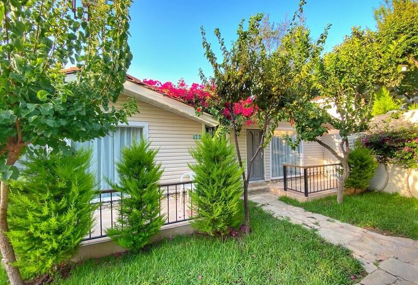 غرفة قياسية رباعية, Leda Beach