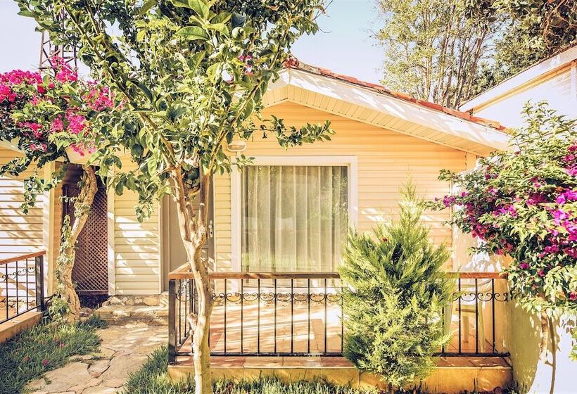 غرفة قياسية رباعية, Leda Beach