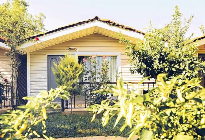 غرفة قياسية رباعية, Leda Beach