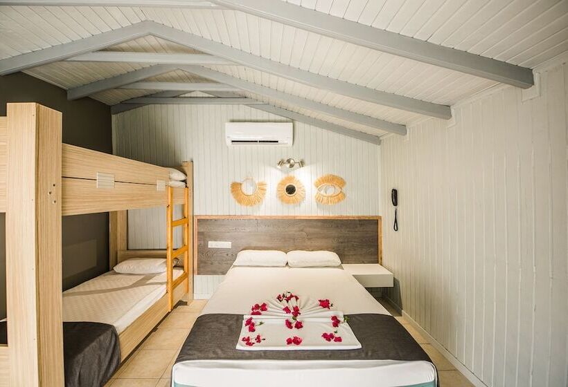 スタンダード４人部屋, Leda Beach