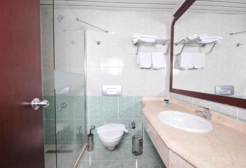 Номер Стандарт, My Dream
