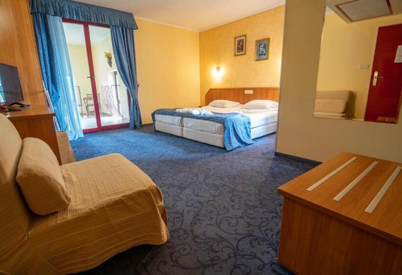 可看到停车场的标准间, Saint George Hotel & Medical Spa