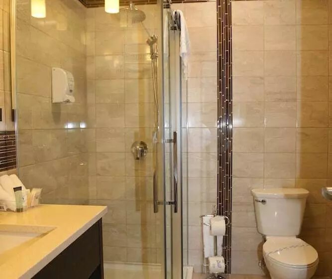 Standard-huone Jokinäkymä, Auberge Des Battures