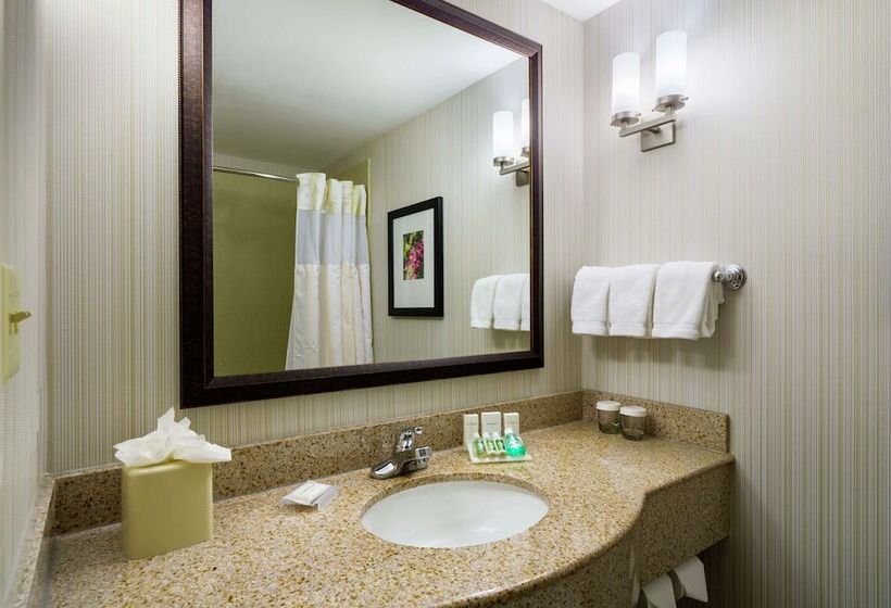 اتاق استاندارد با 2 تخت دوبل, Hilton Garden Inn Queens/jfk Airport