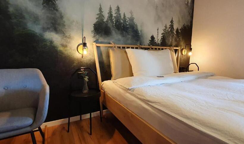 חדר סטנדרט יחיד, Schorta S Hotel Alvetern