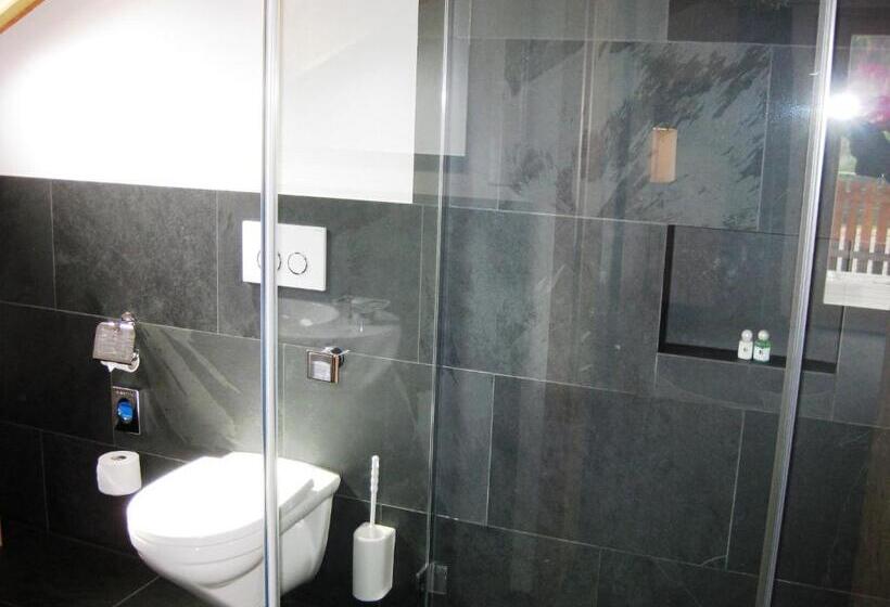 חדר סופריור, Schorta S Hotel Alvetern