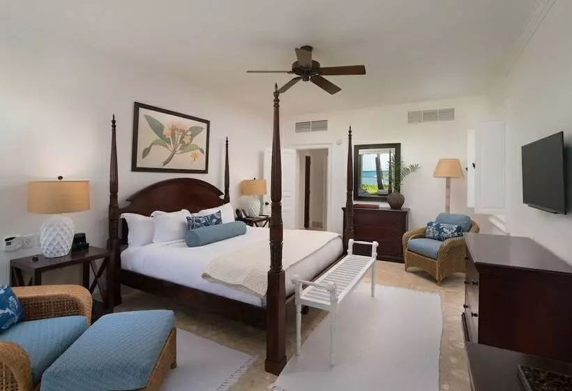 سوییت جونیور با چشم‌انداز دریا, Tortuga Bay