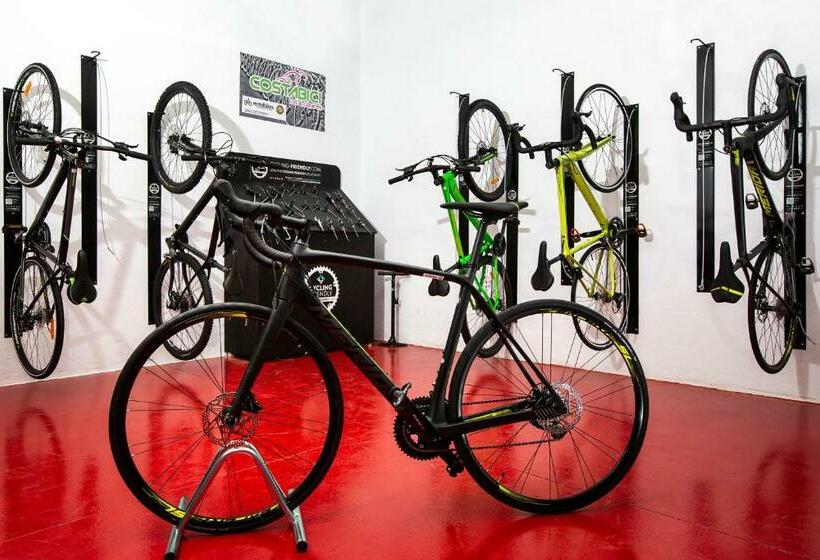 Номер Стандарт, 525